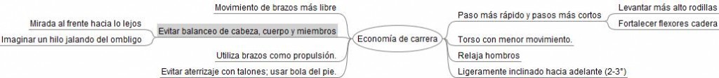 Economía de carrera